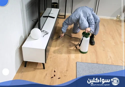 أفضل شركة مكافحة حشرات بجازان