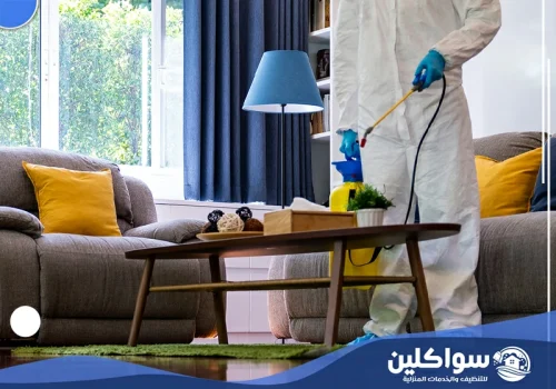 شركة بخ حشرات بجازان